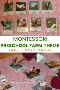 montessori preschool farm theme is shown with pictures on the table and in front of it