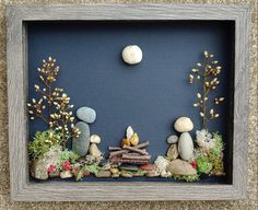 a shadow frame with rocks and plants in it