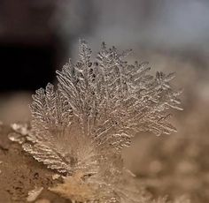 a close up view of some ice crystals