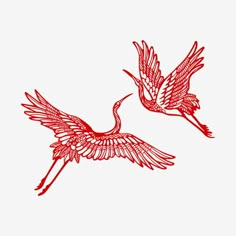 two red birds flying side by side on a white background, with one bird in the air