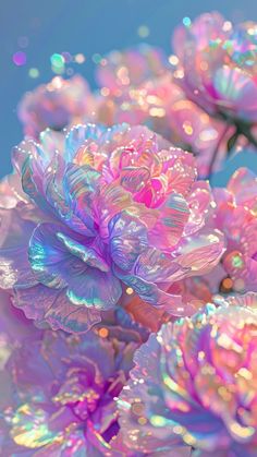 pink flowers with iridescent petals in the middle and water droplets on them, against a blue sky