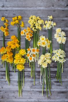 a bunch of flowers that are sitting on a wooden table with some stems in front of them