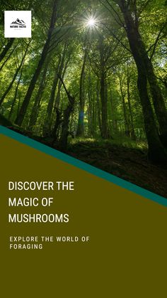 the cover of a book with trees and sun shining in the background, which reads,'discovering the magic of mushrooms explore the world of