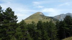 the mountains are covered with trees and grass