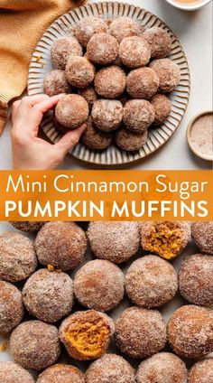 mini cinnamon sugar pumpkin muffins on a plate