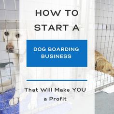 two dogs in cages with the words how to start a dog boarding business that will make you a profit