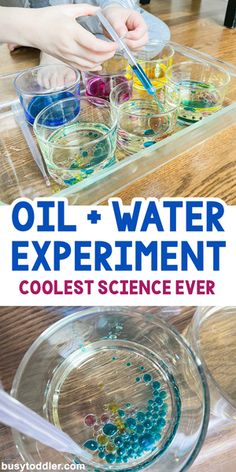 Oil And Water Experiment, Vetenskapliga Experiment, Science Experiments Kids Preschool, Water Science Experiments, Science For Toddlers, Water Experiments, Experiment For Kids, Science Experiments For Kids, Experiments Kids