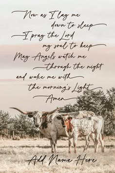 two longhorn cows standing in a field with an old poem written on it