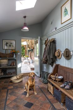 a dog is sitting in the entry way