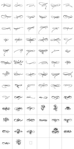 an image of different types of lines in the shape of fish tails and tailes