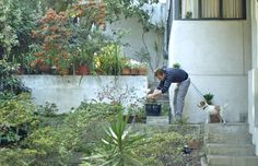 a woman is walking her dog down the stairs in front of a house with potted plants