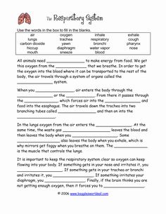 the body and lungs are shown in this worksheet for children's reading