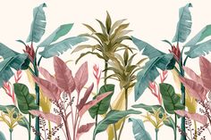 an illustration of tropical plants and leaves on a white background with pink, green, yellow and red colors