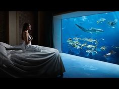 a woman standing in front of an aquarium looking at the fish swimming by her bed