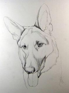 a drawing of a german shepard dog with his tongue hanging out and eyes wide open