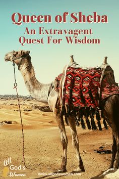 Queen of Sheba Movies For Women, Queen Sheba, Bible Character Study, Biblical Women, Questions About Life, Growing Faith, The Queen Of Sheba, Bible Messages, Women In The Bible