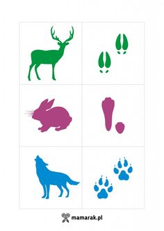 the silhouettes of animals and their tracks are shown in blue, pink, and green