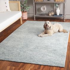 a white dog laying on top of a rug in a living room