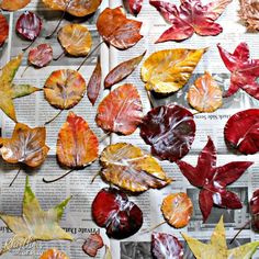 many different colored leaves laying on top of a newspaper