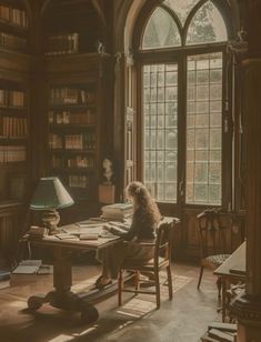 a dog sitting at a desk in front of a window with lots of books on it