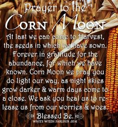 a corn cob with the words, prayer to the corn i moon on it