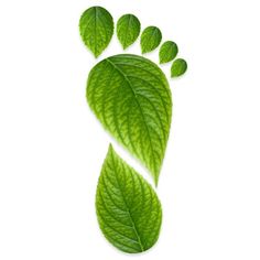 green leaves are arranged in the shape of a foot