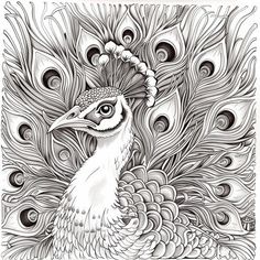 Creative Peacock Coloring Art for Home and Classroom Peacock Coloring Pages, Big Birds, Motor Development, Coloring Art, Design Basics, Peacock Color, Creative Painting, Big Bird, Wood Burning