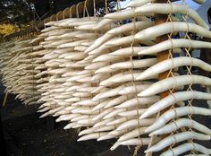 several large white objects hanging from a wooden pole