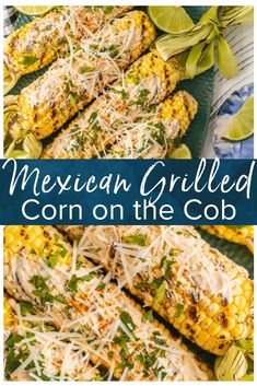 mexican grilled corn on the cob with parmesan cheese and cilantro