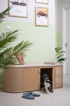 a black and white dog is hiding in a wooden cabinet with shoes on the floor