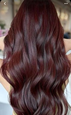 Best Colour For Black Hair, Black Cherry Brown Hair, Hair Colour For Dark Brown Hair, Auburn Hair On Black Hair, Light Brown Cherry Hair Color, Dark Brown With Cherry Highlights, Long Hair Colour Ideas Color Trends, Hair Color Ideas For Dark Brown Hair Balayage, Asian Cherry Red Hair