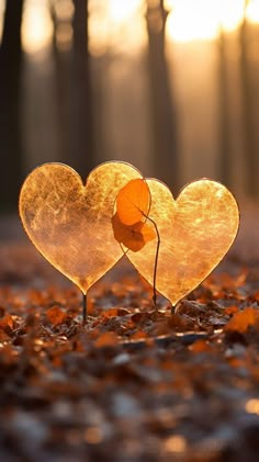 two heart shaped glass vases sitting on top of leaves in the middle of a forest