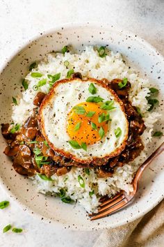 a bowl filled with rice, meat and an egg