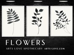 three black and white paintings on a brick wall, with the words flowers above them