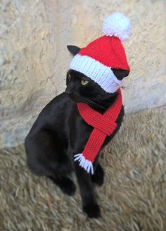 a black cat wearing a red and white knitted santa hat with pompom