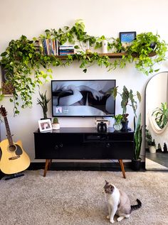 a cat sitting on the floor in front of a flat screen tv with plants growing over it