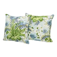 two blue and green floral pillows