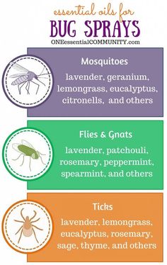 kid-safe and effective DIY bug spray recipes using essential oils-- includes FREE PRINTABLES for recipes, charts, and bottle labels!! Diy Bug Spray, Bug Spray Recipe, Natural Bug Spray