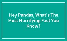 the words hey pandas, what's the most horrifying fact you know?