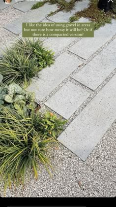 an image of a stone walkway with plants in the foreground and a quote on it