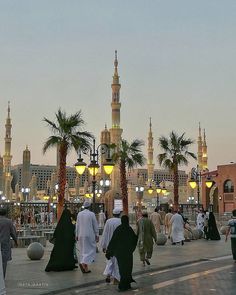 some people are walking around in the middle of an open area with tall buildings and palm trees