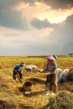 two people standing in a field with buckets full of grain and one person holding a basket