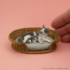 there is a miniature cat laying in a basket on the table next to a hand