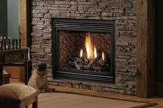 a dog sitting in front of a fire place