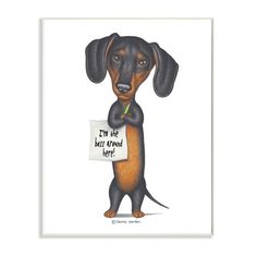 a black and brown dachshund holding a sign that says i'm waiting