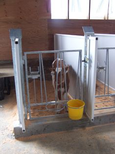 a horse is standing in its stall with the door open and drinking from a yellow bucket