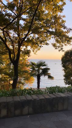 there is a bench on the sidewalk by the water with trees in front of it