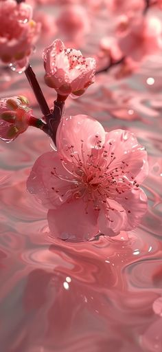 pink flowers are floating in the water