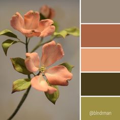 an image of a flower with color swatches