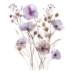 watercolor painting of purple flowers on a white background, with long stems in the foreground